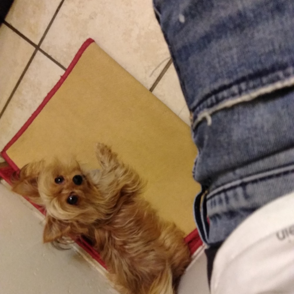 Meet your Posher, Sonny